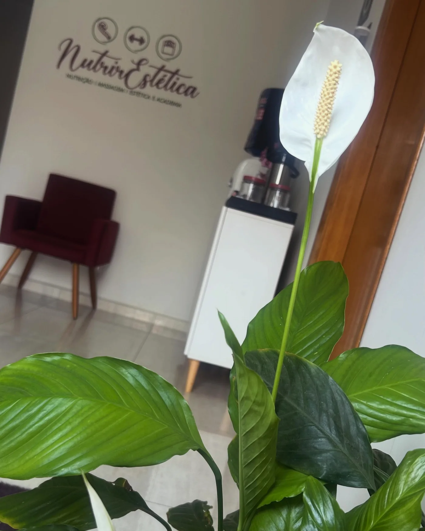 Recepção com o logo da NutrirEstética na parede, poltrona bordô e lírio-da-paz
